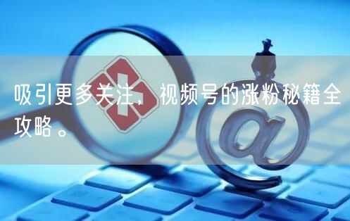 吸引更多关注，视频号的涨粉秘籍全攻略。