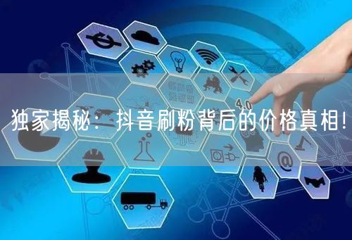 独家揭秘：抖音刷粉背后的价格真相！