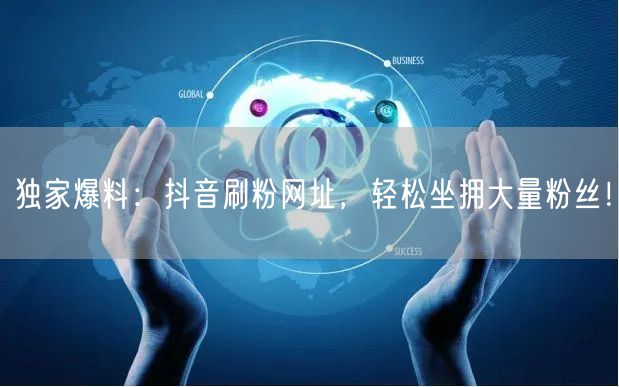 独家爆料：抖音刷粉网址，轻松坐拥大量粉丝！