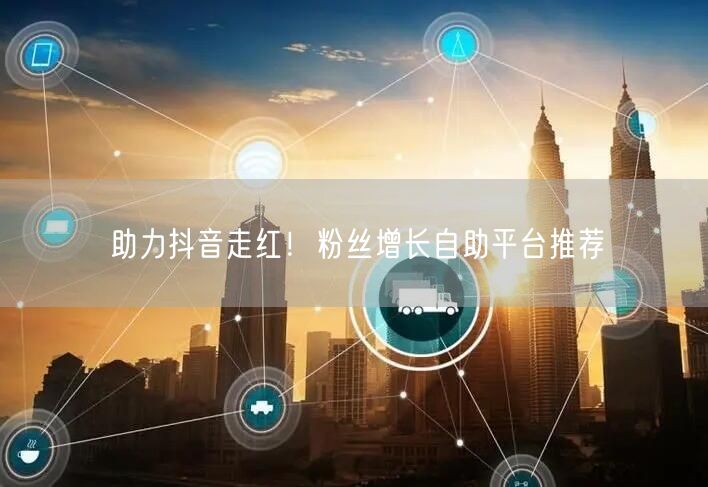 助力抖音走红！粉丝增长自助平台推荐