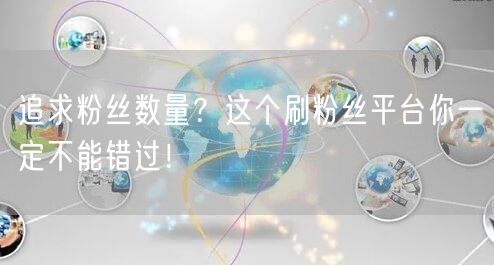 追求粉丝数量？这个刷粉丝平台你一定不能错过！