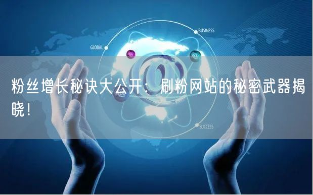 粉丝增长秘诀大公开：刷粉网站的秘密武器揭晓！