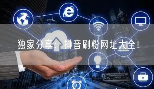 独家分享：抖音刷粉网址大全！