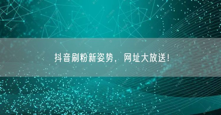 抖音刷粉新姿势，网址大放送！