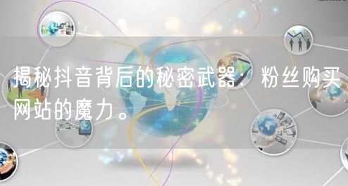 揭秘抖音背后的秘密武器：粉丝购买网站的魔力。