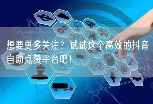 想要更多关注？试试这个高效的抖音自助点赞平台吧！