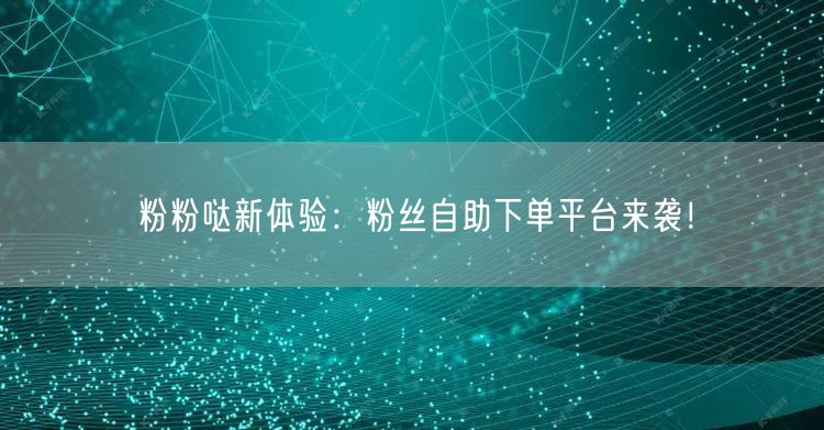 粉粉哒新体验：粉丝自助下单平台来袭！