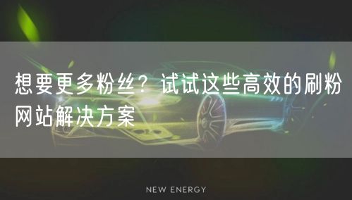 想要更多粉丝？试试这些高效的刷粉网站解决方案