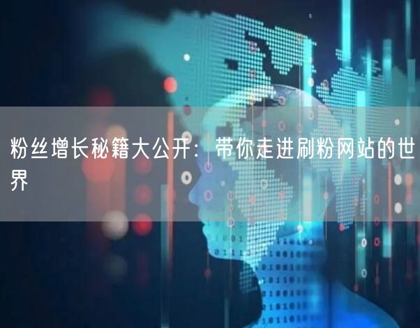 粉丝增长秘籍大公开：带你走进刷粉网站的世界