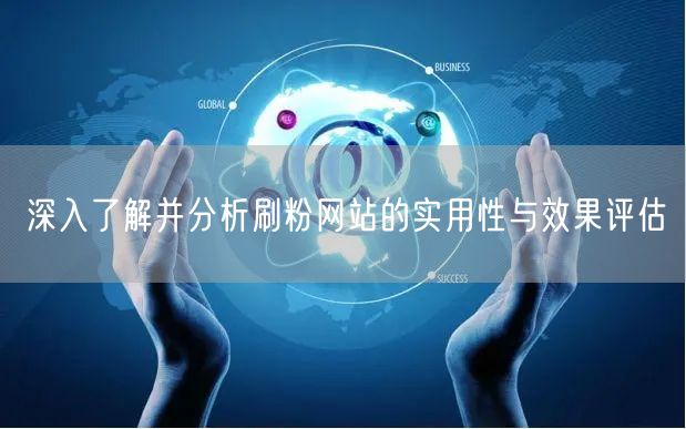 深入了解并分析刷粉网站的实用性与效果评估