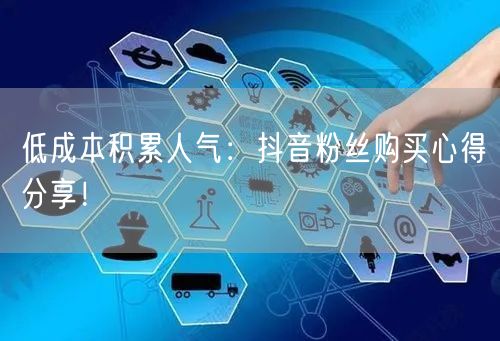 低成本积累人气：抖音粉丝购买心得分享！