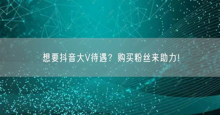 想要抖音大V待遇？购买粉丝来助力！