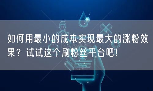 如何用最小的成本实现最大的涨粉效果？试试这个刷粉丝平台吧！
