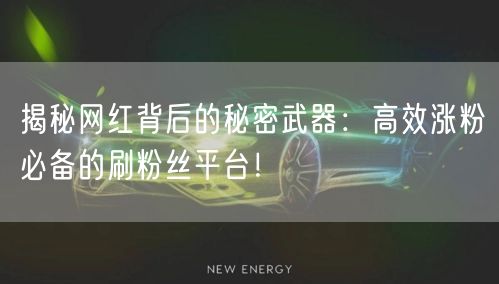 揭秘网红背后的秘密武器：高效涨粉必备的刷粉丝平台！