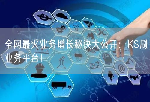 全网最火业务增长秘诀大公开：KS刷业务平台！