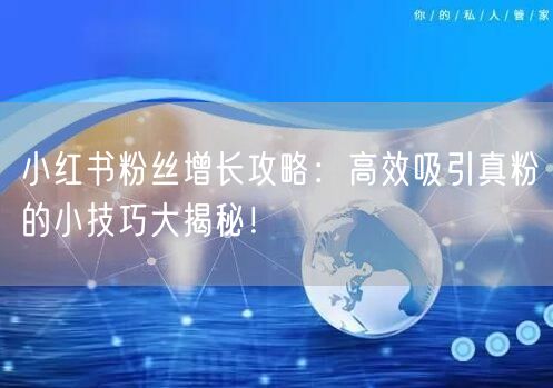 小红书粉丝增长攻略：高效吸引真粉的小技巧大揭秘！