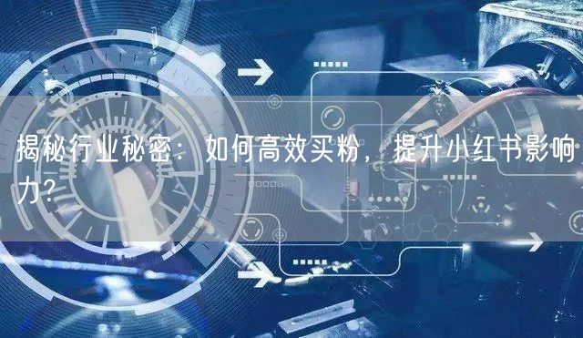 揭秘行业秘密：如何高效买粉，提升小红书影响力？