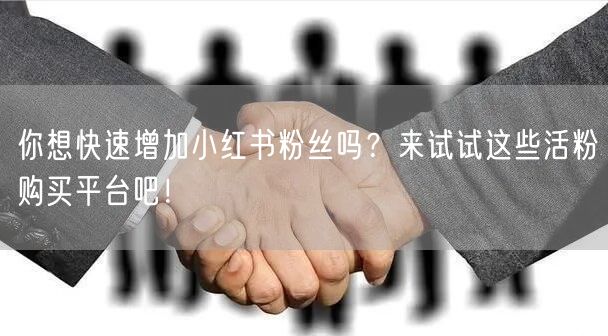 你想快速增加小红书粉丝吗？来试试这些活粉购买平台吧！