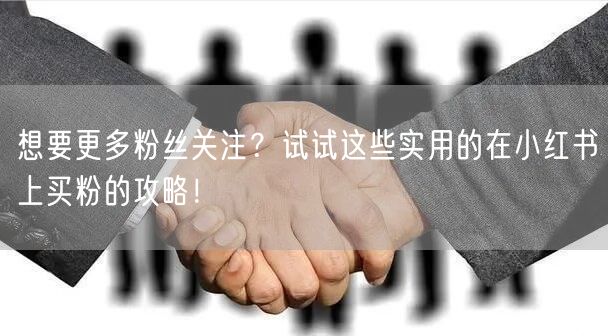 想要更多粉丝关注？试试这些实用的在小红书上买粉的攻略！
