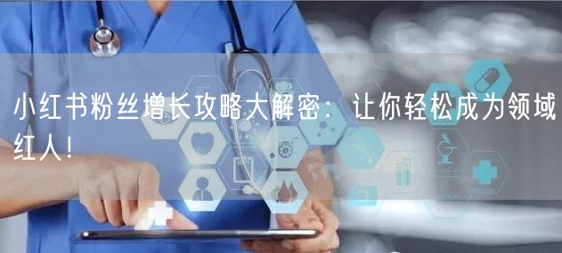小红书粉丝增长攻略大解密：让你轻松成为领域红人！