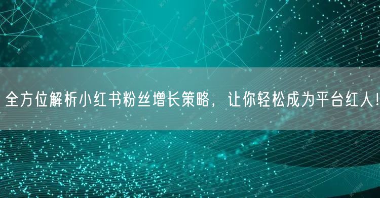 全方位解析小红书粉丝增长策略，让你轻松成为平台红人！