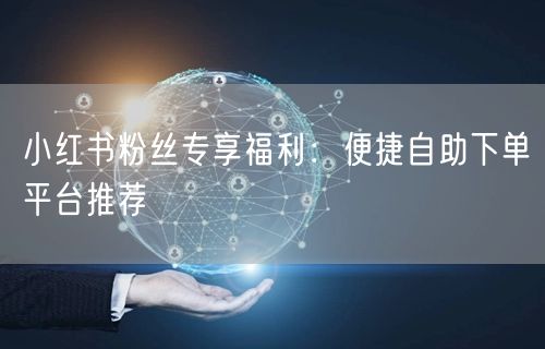 小红书粉丝专享福利：便捷自助下单平台推荐