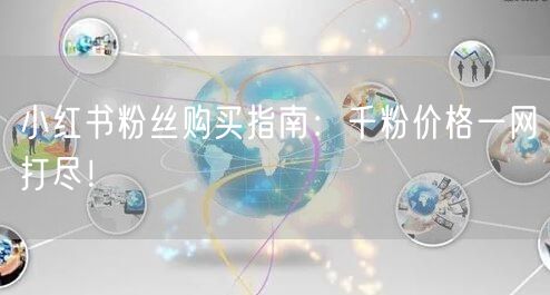 小红书粉丝购买指南：千粉价格一网打尽！