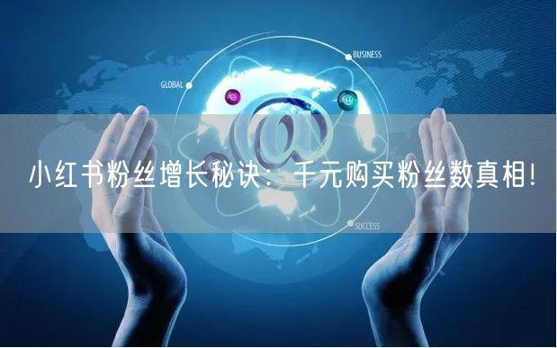 小红书粉丝增长秘诀：千元购买粉丝数真相！