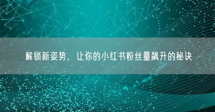 解锁新姿势，让你的小红书粉丝量飙升的秘诀