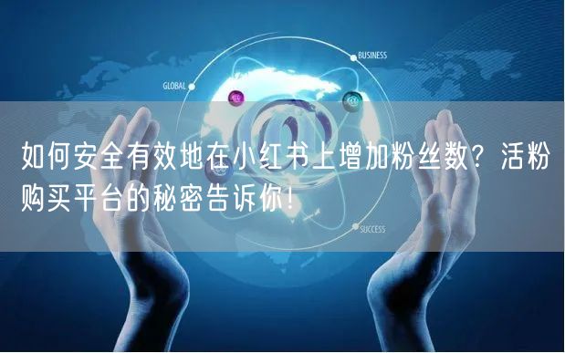 如何安全有效地在小红书上增加粉丝数？活粉购买平台的秘密告诉你！