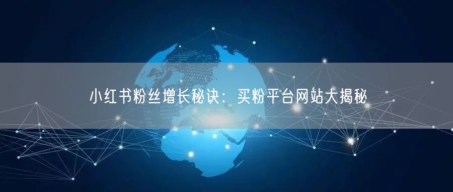 小红书粉丝增长秘诀：买粉平台网站大揭秘