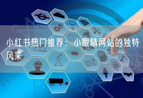 小红书热门推荐：小眼睛网站的独特风采
