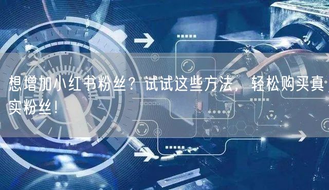 想增加小红书粉丝？试试这些方法，轻松购买真实粉丝！