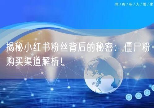 揭秘小红书粉丝背后的秘密：僵尸粉购买渠道解析！