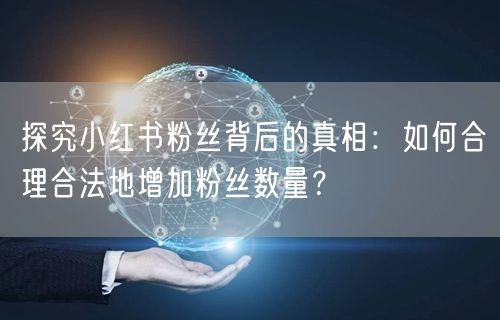 探究小红书粉丝背后的真相：如何合理合法地增加粉丝数量？