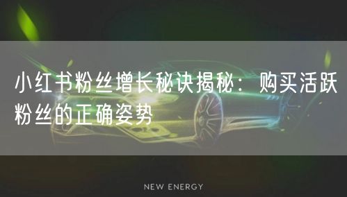小红书粉丝增长秘诀揭秘：购买活跃粉丝的正确姿势