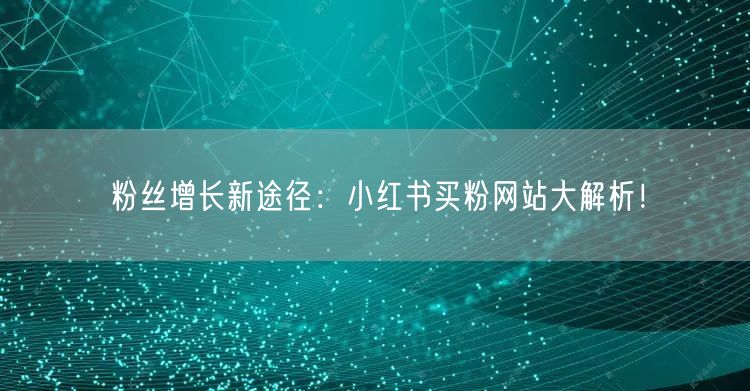 粉丝增长新途径：小红书买粉网站大解析！