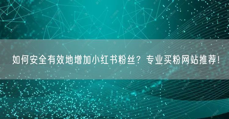 如何安全有效地增加小红书粉丝？专业买粉网站推荐！