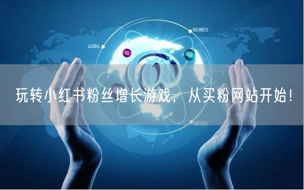 玩转小红书粉丝增长游戏，从买粉网站开始！