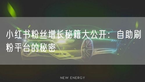 小红书粉丝增长秘籍大公开：自助刷粉平台的秘密