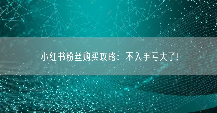 小红书粉丝购买攻略：不入手亏大了!