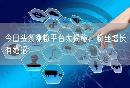 今日头条涨粉平台大揭秘，粉丝增长有绝招！