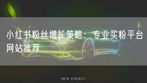 小红书粉丝增长策略：专业买粉平台网站推荐