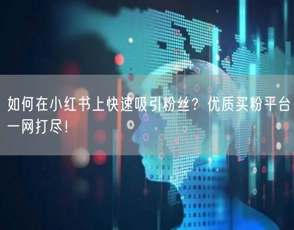 如何在小红书上快速吸引粉丝？优质买粉平台一网打尽！