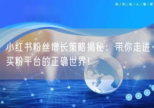 小红书粉丝增长策略揭秘：带你走进买粉平台的正确世界！