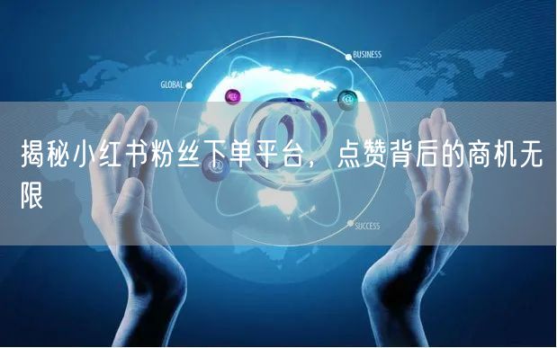 揭秘小红书粉丝下单平台，点赞背后的商机无限