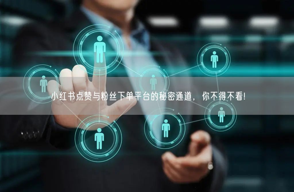 小红书点赞与粉丝下单平台的秘密通道，你不得不看!