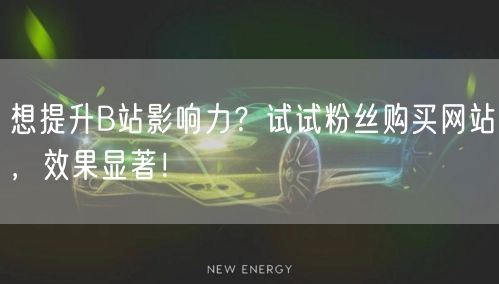 想提升B站影响力？试试粉丝购买网站，效果显著！