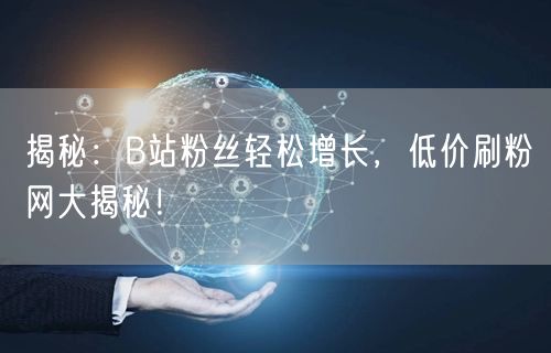 揭秘：B站粉丝轻松增长，低价刷粉网大揭秘！