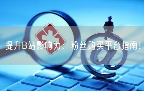 提升B站影响力：粉丝购买平台指南！